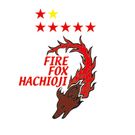 ファイルフォックス八王子フットサルスクール