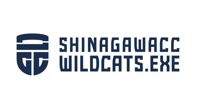 品川CC WILDCATS（3x3）