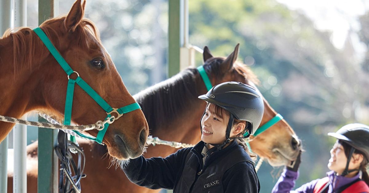 乗馬クラブクレイン茨城【乗馬体験１回コース】】｜茨城県つくば市の