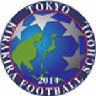 東京キラキラ FOOTBALLスクール【大人のプライベートサッカークラス】