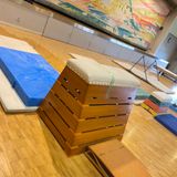 体操・器械体操