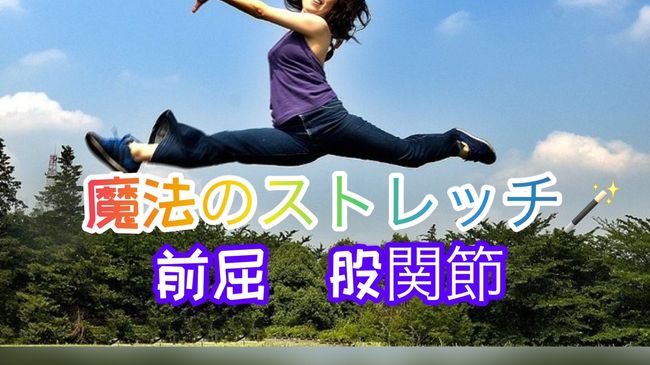 身体が柔らかくなる！キャットストレッチ