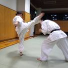 カラテ＆キックボクシングサークル(カラテ＆キック)